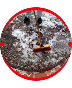 Carpet Shampooing
